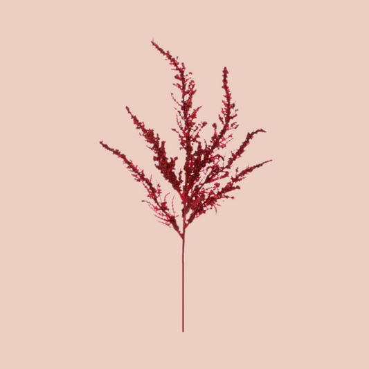 RED FEATHER FERN SPRAY