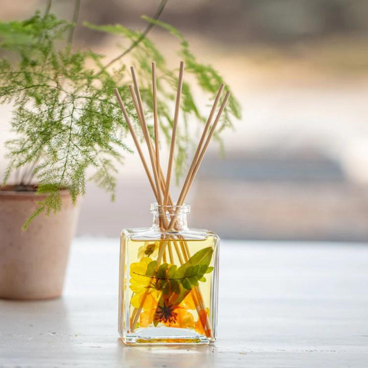 4OZ BOTANICAL REED DIFFUSER-PEANY & POMELO