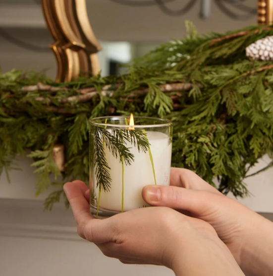 FRASIER FIR THYMES CANDLE 6.5 oz