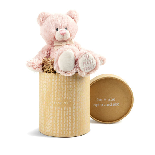 TEDDY BEAR GENDER REVEAL SET GIRL