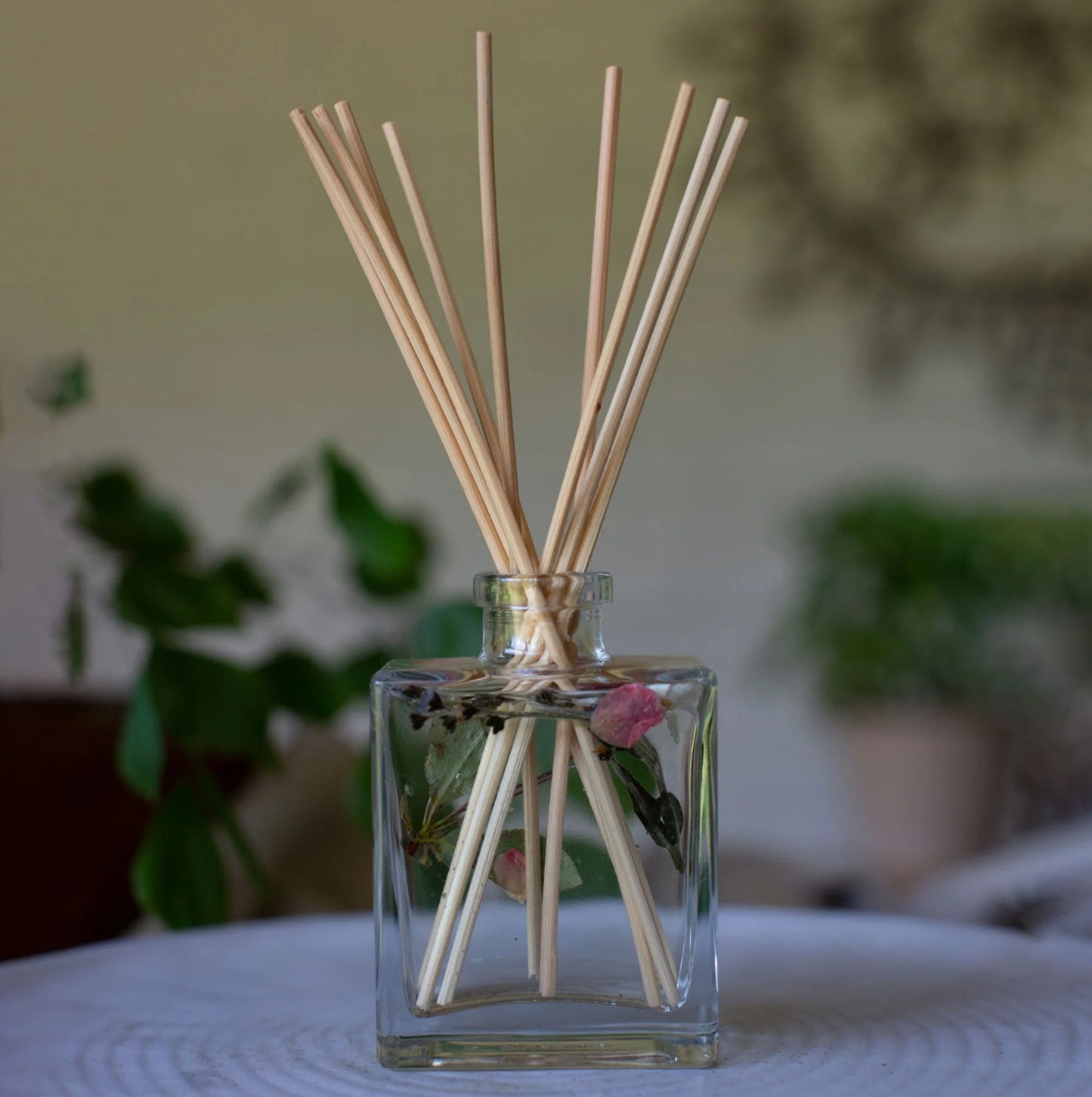 4OZ BOTANICAL REED DIFFUSER-APRICOT ROSE